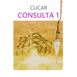 CONSULTA 1