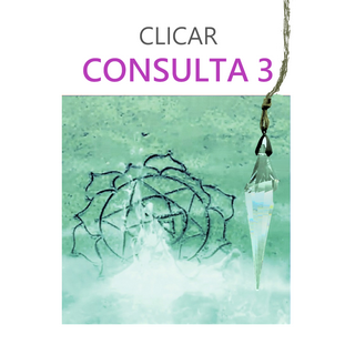 CONSULTA 3