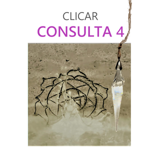 CONSULTA 4
