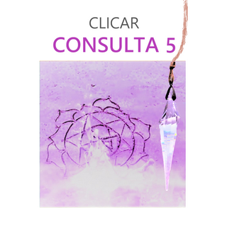 CONSULTA 1