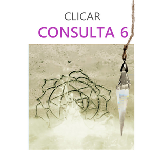 CONSULTA 6